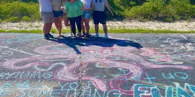 Charleston Lighthouses, Beaches, and Forts Tour - Image 2