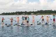 Charleston Stand Up Paddleboard Dolphin Safari thumbnail 1