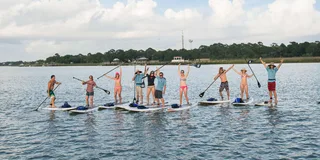 Charleston Stand Up Paddleboard Dolphin Safari