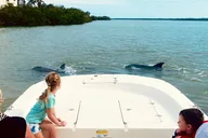 Marco Island Dolphin Sightseeing Tour 2 hr thumbnail 2