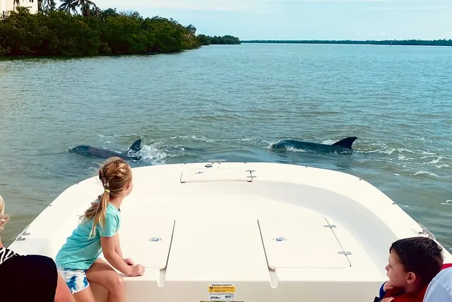 Marco Island Dolphin Sightseeing Tour 2 hr - Image 2