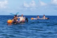 Haleiwa Clear Bottom Kayak Tour with Turtles 2 hr thumbnail 4