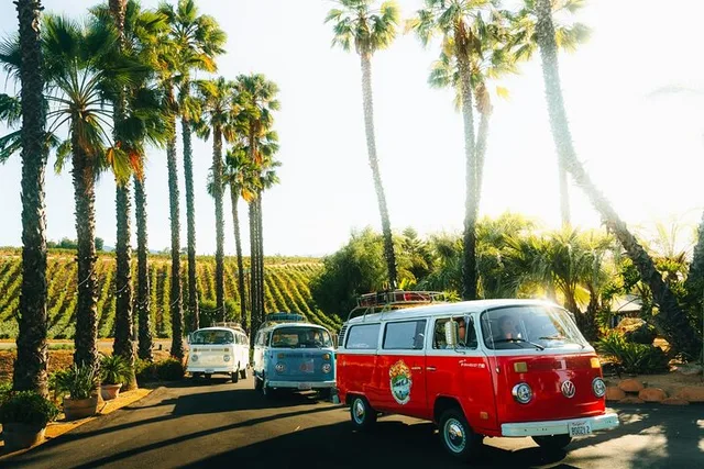 Temecula VW Bus Wine Tour - Image 2