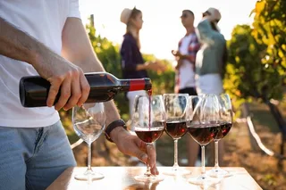 Atlanta Vineyards and Wines Private Tour