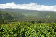 Maui Hana Hiking Tour with Lunch thumbnail 4