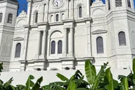 New Orleans French Quarter Architecture Walking Tour thumbnail 4