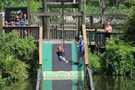 Orlando Gatorland Zipline Adventure 1.5 hr thumbnail 2