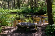 Ketchikan Old-Growth Creek Trek thumbnail 6