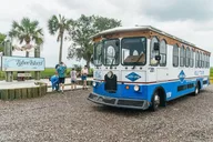 Savannah Tybee Island Dolphin Cruise thumbnail 2