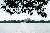 Washington DC Capitol and Archives Tour thumbnail 6