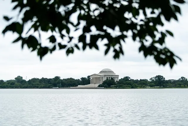 Washington DC Capitol and Archives Tour - Image 6