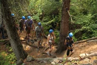 Skagway Adventure Park & Zipline Tour thumbnail 3