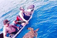 Makena Clear Bottom Kayak and Snorkel Tour thumbnail 5