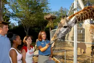 San Diego Zoo Admission Ticket thumbnail 1