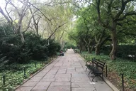 New York Central Park Secret Tour 2.5 hr thumbnail 6