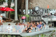 Miami Everglades Airboat Tour & Wildlife Show thumbnail 4