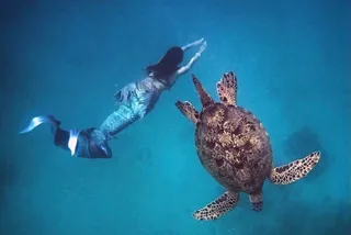 Honolulu Snorkel & Sail Adventure with Breakfast