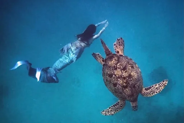Honolulu Snorkel & Sail Adventure with Breakfast - Image 1