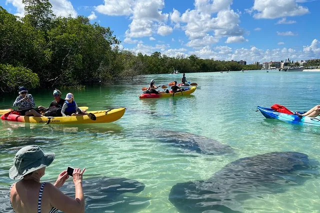 Bonita Springs EcoTour: Clear Kayak & SUP - 2.5 hr - Image 2