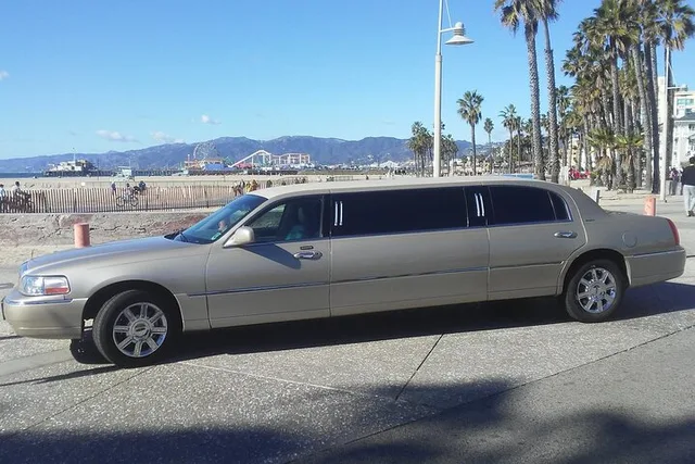 Los Angeles City and Shopping Tour in a Limo - Image 4