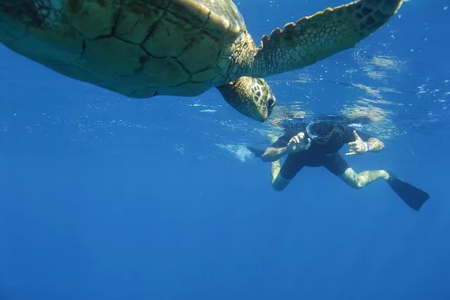 Kauai South Island Zodiac Boat Snorkel Adventure - Image 1