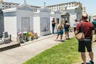 New Orleans Sightseeing Bus Tour thumbnail 3