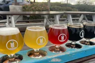San Diego Beer Tasting Tour thumbnail 2