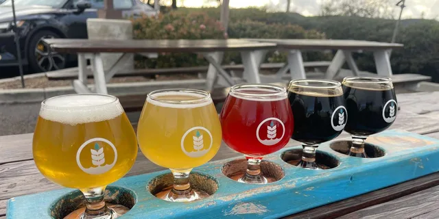 San Diego Beer Tasting Tour - Image 2