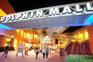Miami City and Biscayne Bay Tour with Dolphin Mall thumbnail 2