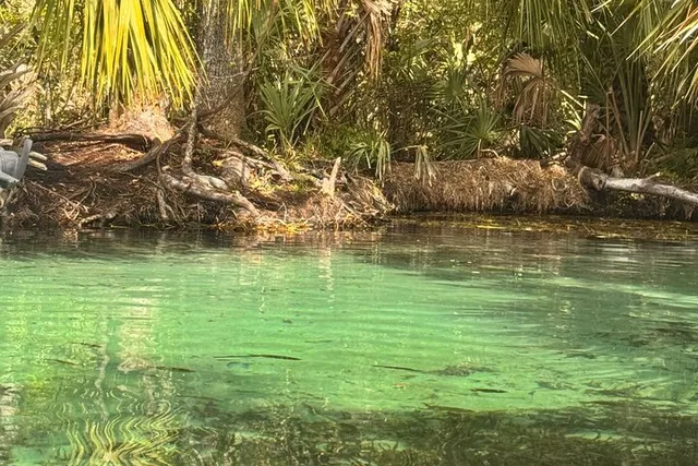 Rainbow Springs Clear Kayak and Paddleboard Tour - Image 6
