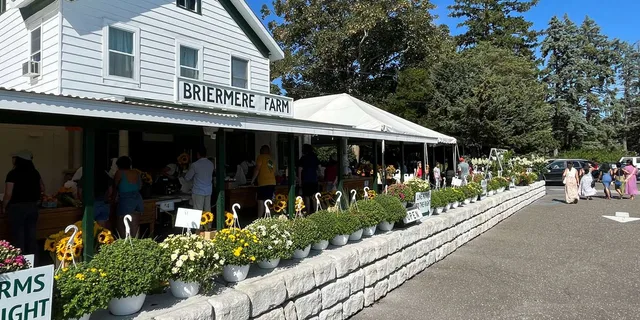 New York City Long Island Wine Tour with Sommelier - Image 6
