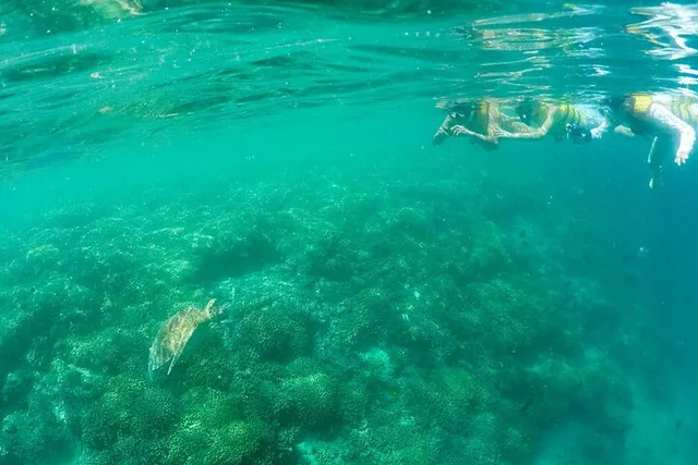 Kaneohe Sandbar Snorkeling Tour - Image 5
