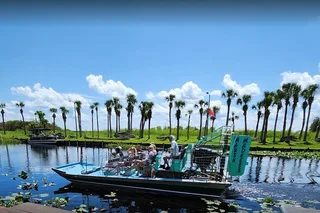 Orlando Airboat Ride in the Everglades 30 Min