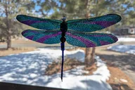 Estes Park Art Kit Experience thumbnail 4