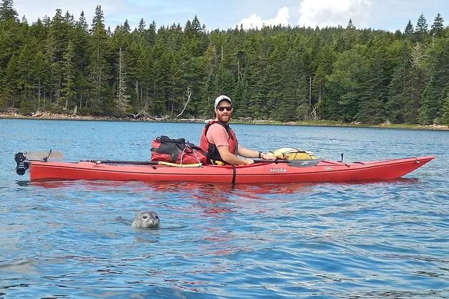 Southwest Harbor Kayak Tour - Image 3