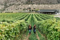 New York Wine Tour to Hamptons thumbnail 3