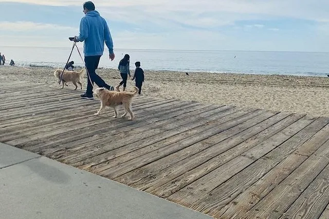Laguna Beach and Balboa Pier Private Tour - Image 3