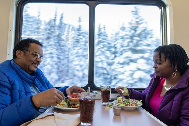 Fairbanks to Anchorage Aurora Winter Train - Image 4