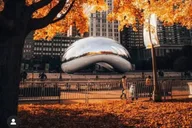 Chicago City Tour with Local Guide thumbnail 2