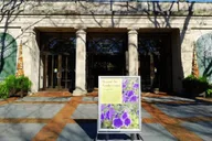 New York Shri Swaminarayan Mandir and Longwood Gardens Tour thumbnail 4