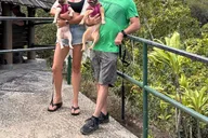 Maui Rainforest Adventure to Hana thumbnail 3