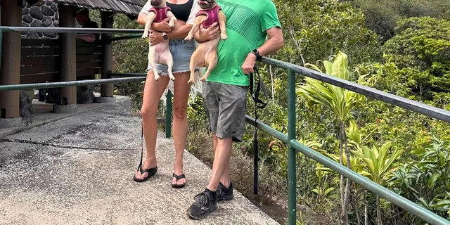Maui Rainforest Adventure to Hana - Image 3