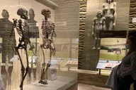 Washington DC Smithsonian Museum of Natural History Tour 2 hr thumbnail 3