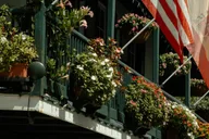 St. Augustine Historical Sightseeing Cart Tour 1.5 hr thumbnail 4