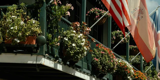St. Augustine Historical Sightseeing Cart Tour 1.5 hr - Image 4