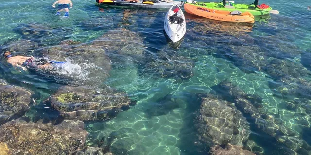 Redondo Beach Kayak and Snorkel with Sea Lions 3 hr - Image 3