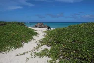 Kailua-Kona Snorkeling Adventure thumbnail 3