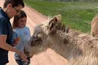 Rapid City Custer State Park & Mt Rushmore Tour thumbnail 1