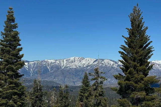 Los Angeles Sequoia and Kings Canyon Private Tour - Image 3
