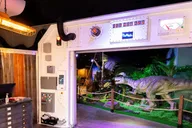 Las Vegas Dinosaur Outpost Admission thumbnail 5